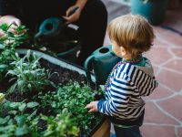 Explore & Develop Artarmon Child Care & Preschool