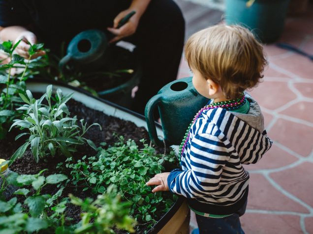 Explore & Develop Artarmon Child Care & Preschool
