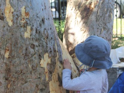 Explore & Develop Narraweena child care and preschool