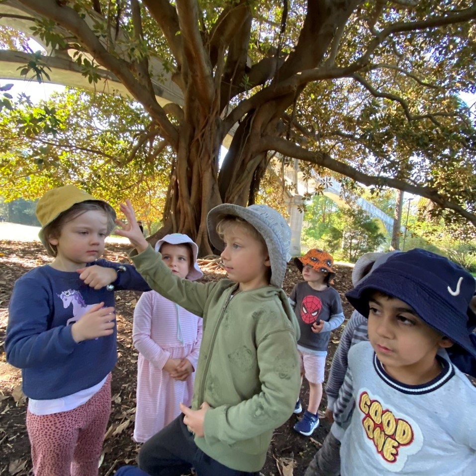 Images of children playing in Explore & Develop Annandale's outdoor area. 