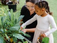 Explore & Develop Canberra Conder Childcare & Preschool outdoor