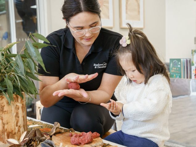 Child Care Wilton - Explore & Develop