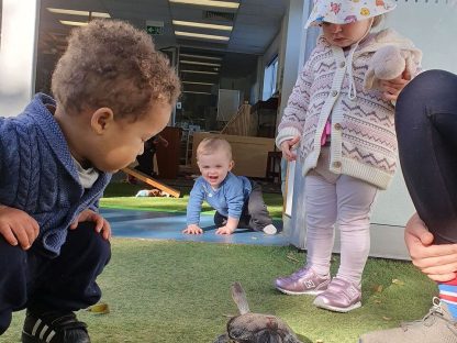 lilyfield toddler