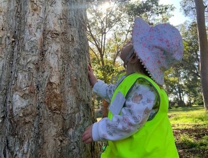 lilyfield toddler