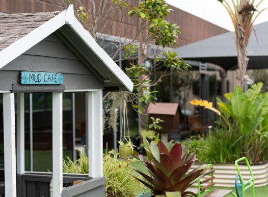brookvale daycare