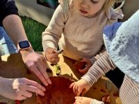 brookvale childcare