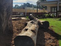 childcare in wilton images