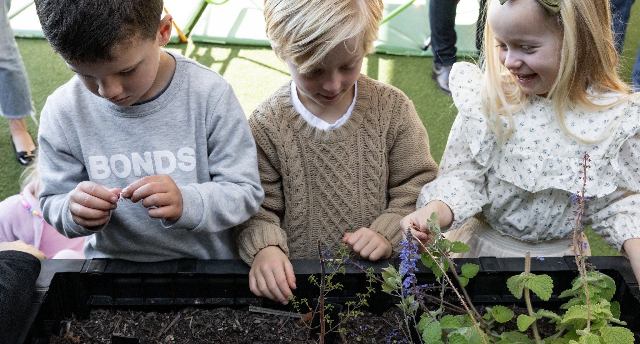 childcare in brookvale