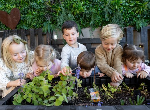 Explore and Develop brookvale childcare