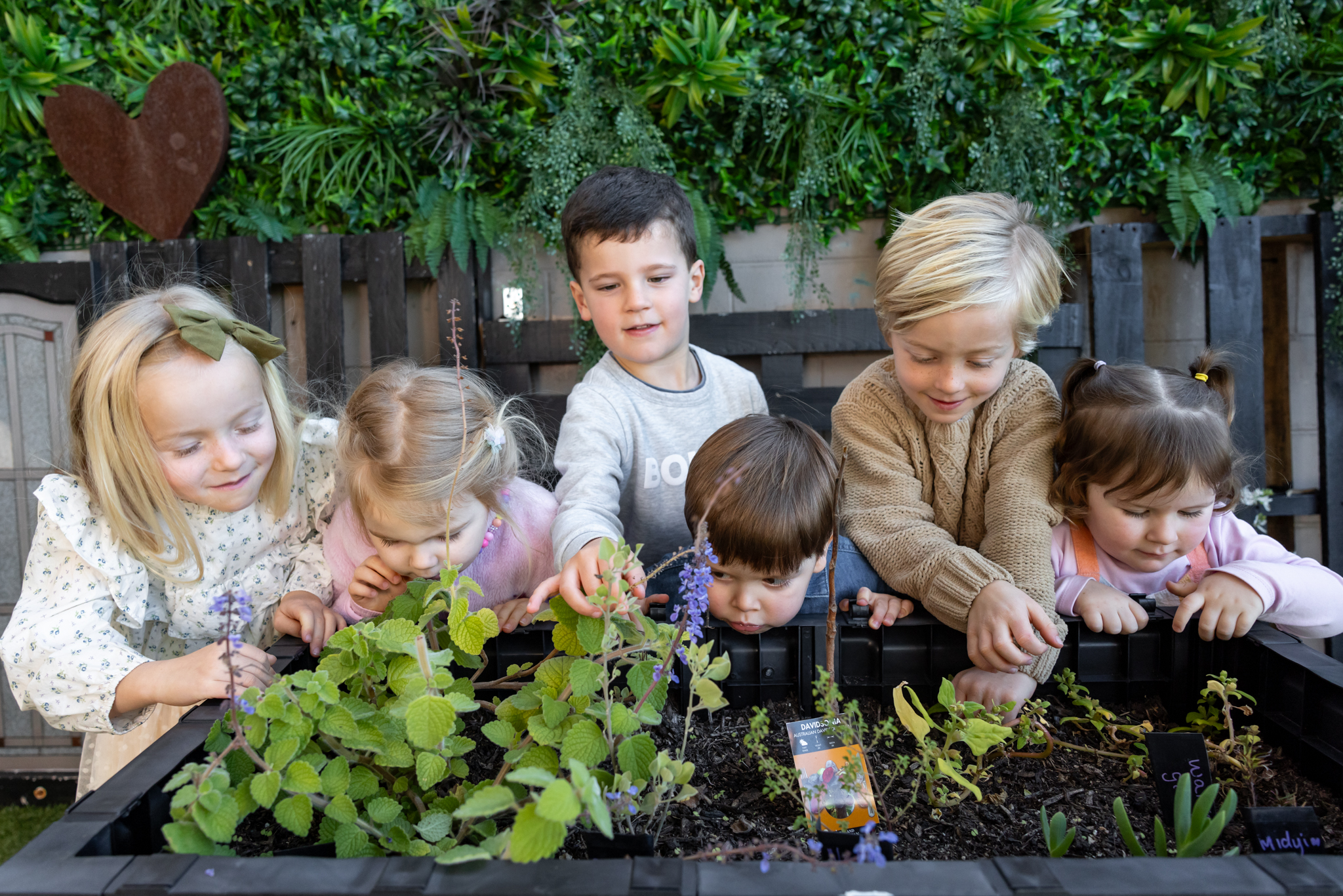 Explore and Develop brookvale childcare