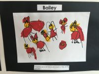 Explore and Develop brookvale childcare
