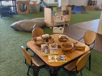 Explore & Develop Artarmon Childcare